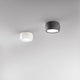 LED Deckenlampe Vasto 630lm Anthrazit und weißem Design auf der Decke