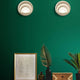 LED Wandleuchte Sunrise Ø26cm an grüner Wand mit Dekoration und Pflanzen.