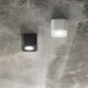 Palmi Spot Anthrazit und Weiß an einer Wand montiert, minimalistische Form, moderne LED-Technologie.