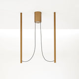 Ari LED Pendant Lamp 2-Flame