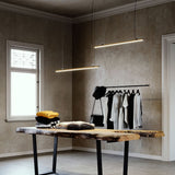 Fabbian Freeline LED Lampe à suspendre Long 300cm