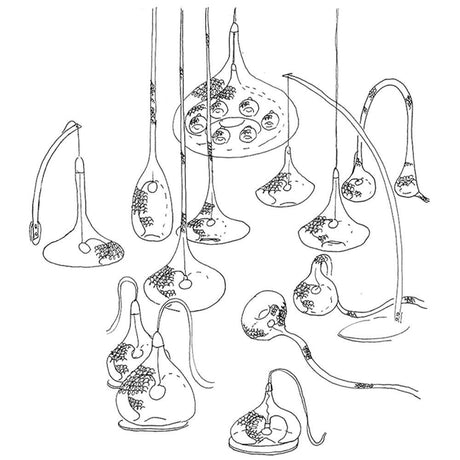 Luce Oval wall light Ø 23 cm sketched with various hanging lights in unique shapes.