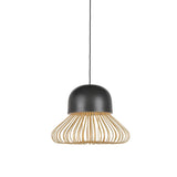 Anemos pendant lamp