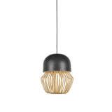 Anemos pendant lamp