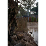 Accessoires de jardin pic 45 cm noir