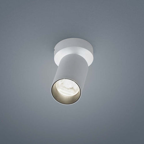 LED Riwa ceiling light in white in a modern design with a practical spotlight.