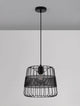 Ian Pendelleuchte E27 Schwarz im Vintage-Stil mit Metallgitter und schwarzem Finish.