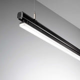 Display Wide LED Schienen Strahler, geeignet für 3-Phasen Eutrac-Profile, moderne Beleuchtungslösung.