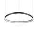 Gemini LED Ring Pendelleuchte in modernem Design, schwarzer Rahmen und weißem Licht.
