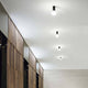 Moderner Raum mit Petit Deckenlampe, an der Decke montierte Leuchten für stilvolle Beleuchtung.