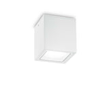 Techo outdoor ceiling light IP54