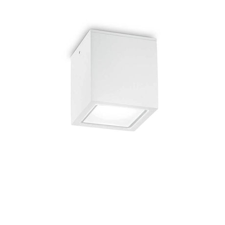 Techo utendørs taklampe IP54 