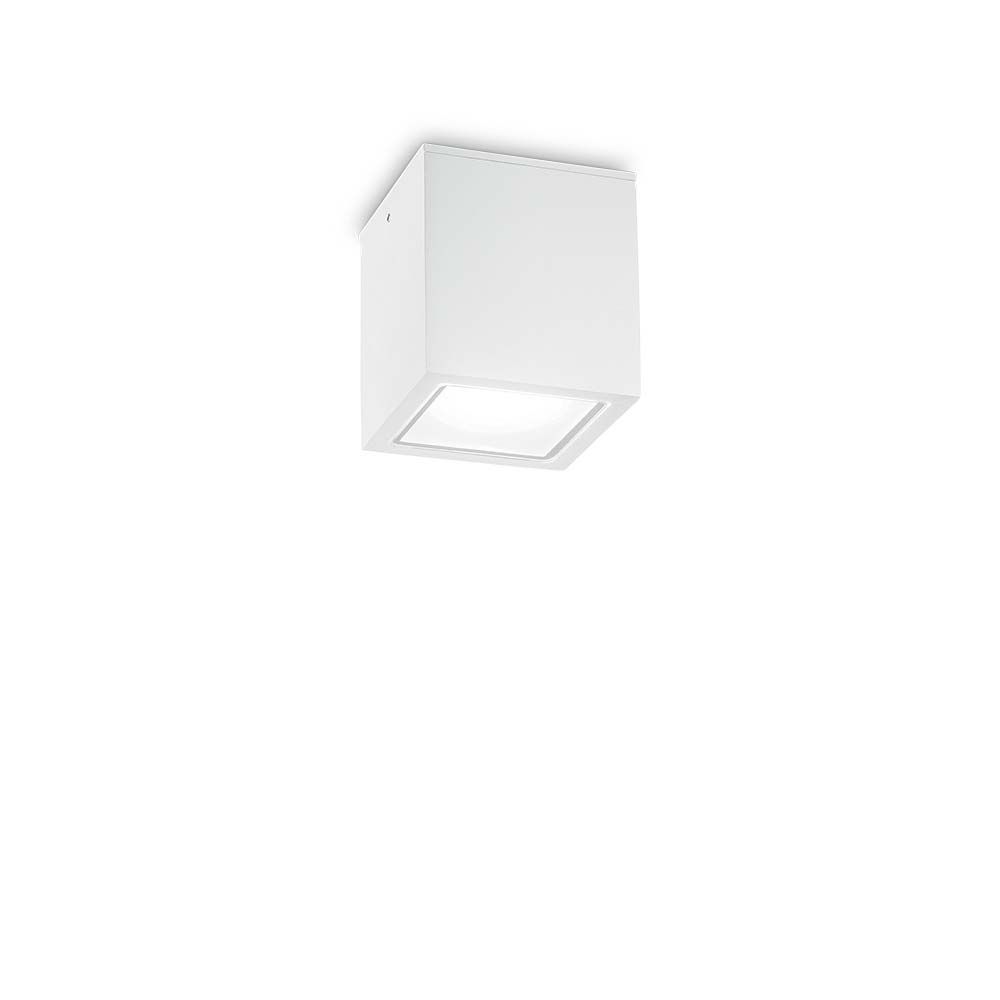 Techo outdoor ceiling light IP54