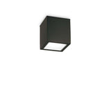 Techo outdoor ceiling light IP54