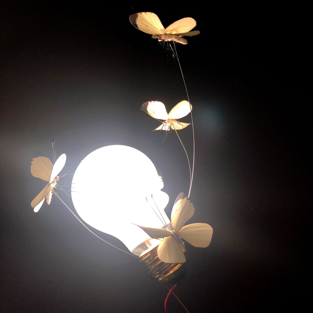 Ingo Maurer Tischlampe I Ricchi Poveri mit fünf handgemachten Schmetterlingen um die Glühlampe, limitierte Edition.
