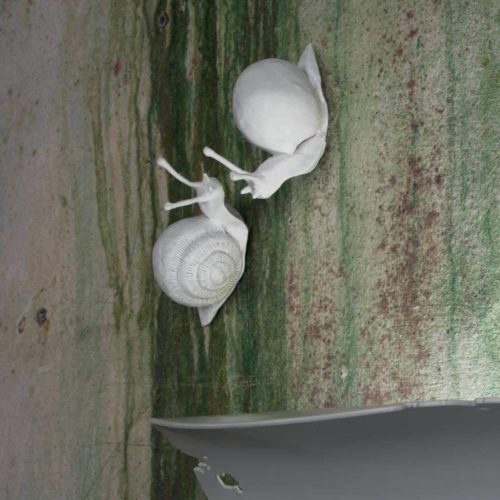 Caracol Karman Va-Lentina