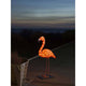 LED Acryl Flamingo klein 48 bernsteinfarbene Dioden IP44 auf Terrasse bei Sonnenuntergang