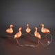 LED Acryl Flamingos 5er-Set 40 bernsteinfarbene Dioden IP44, leuchtende Flamingo Figuren auf dunklem Hintergrund.