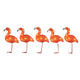 LED Acryl Flamingos 5er-Set 40 bernsteinfarbene Dioden IP44 in einem schönen Arrangement.