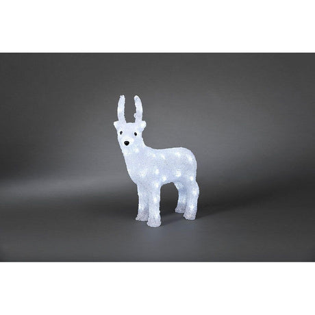 LED Acryl Rentier 40 Kaltweiße Dioden IP44 vor neutralem Hintergrund, leuchtend und dekorativ.