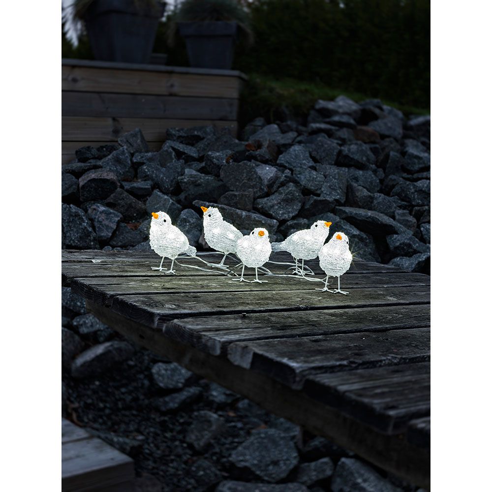 Leuchtende Acryl-Vögel im Wintergarten, charmante Dekoration für ein magisches Ambiente.