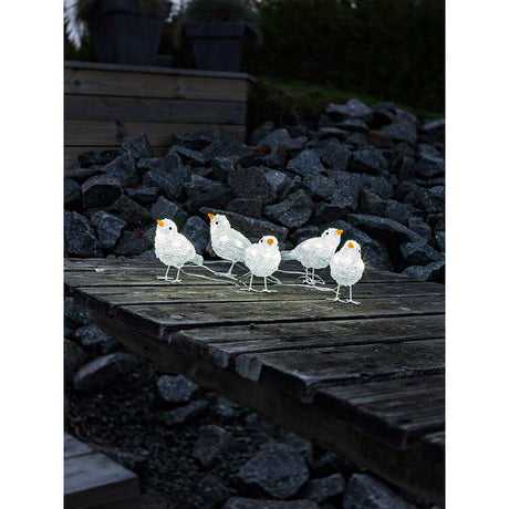 LED Acryl Vögel 5er-Set 40 Kaltweiß 24V auf Holzsteg vor Steinlandschaft bei Nacht.