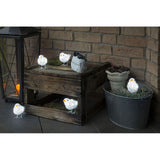 LED Acryl Vögel 5er-Set in Winterdeko auf Holzbox und Pflanztöpfen, charmante Lichter für festliche Atmosphäre.