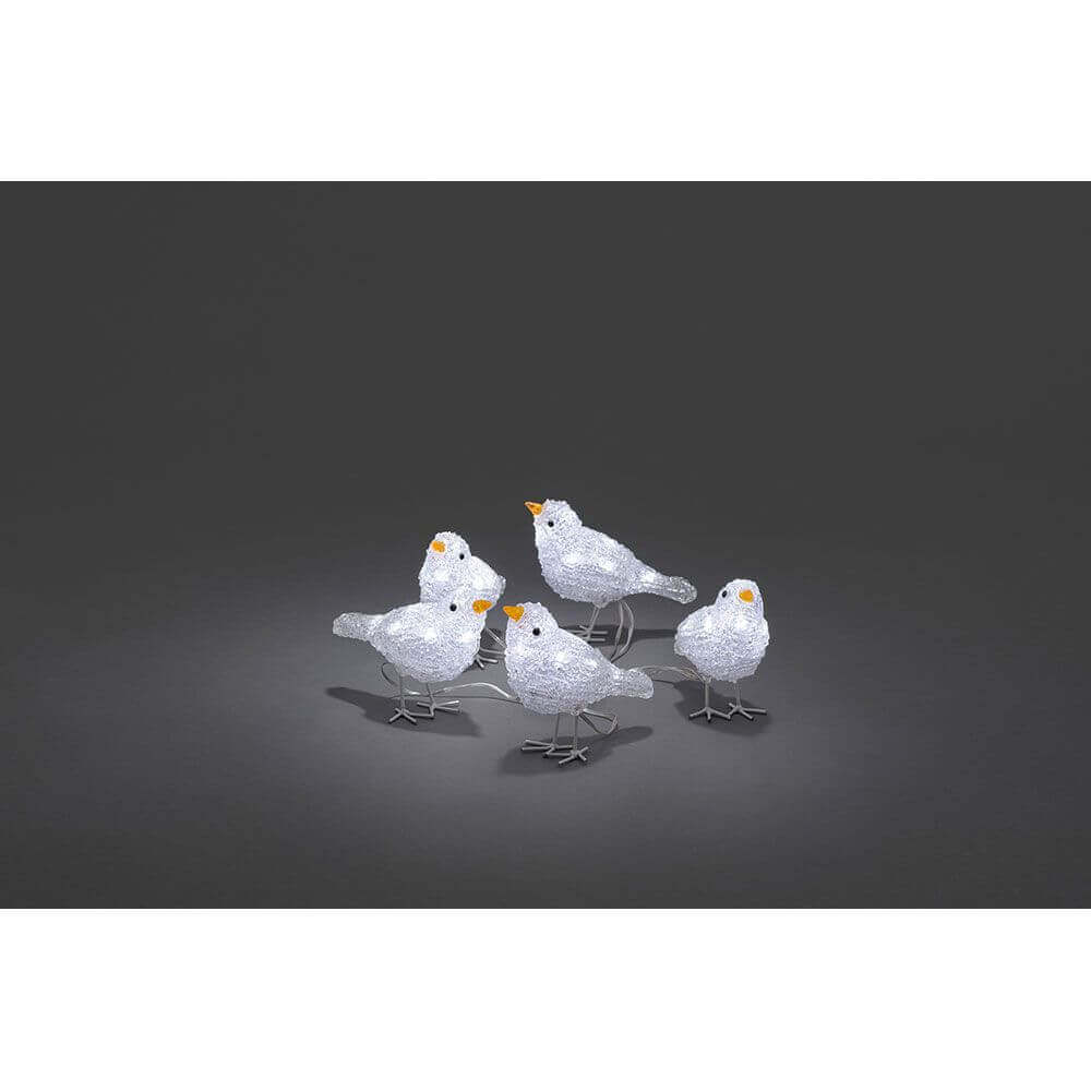 LED Acryl Vögel 5er-Set 40 Kaltweiß 24V