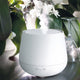 LED Aroma Diffuser Julia im Einsatz, verteilt Duftstoffe mit beruhigendem Nebel zwischen Pflanzen.