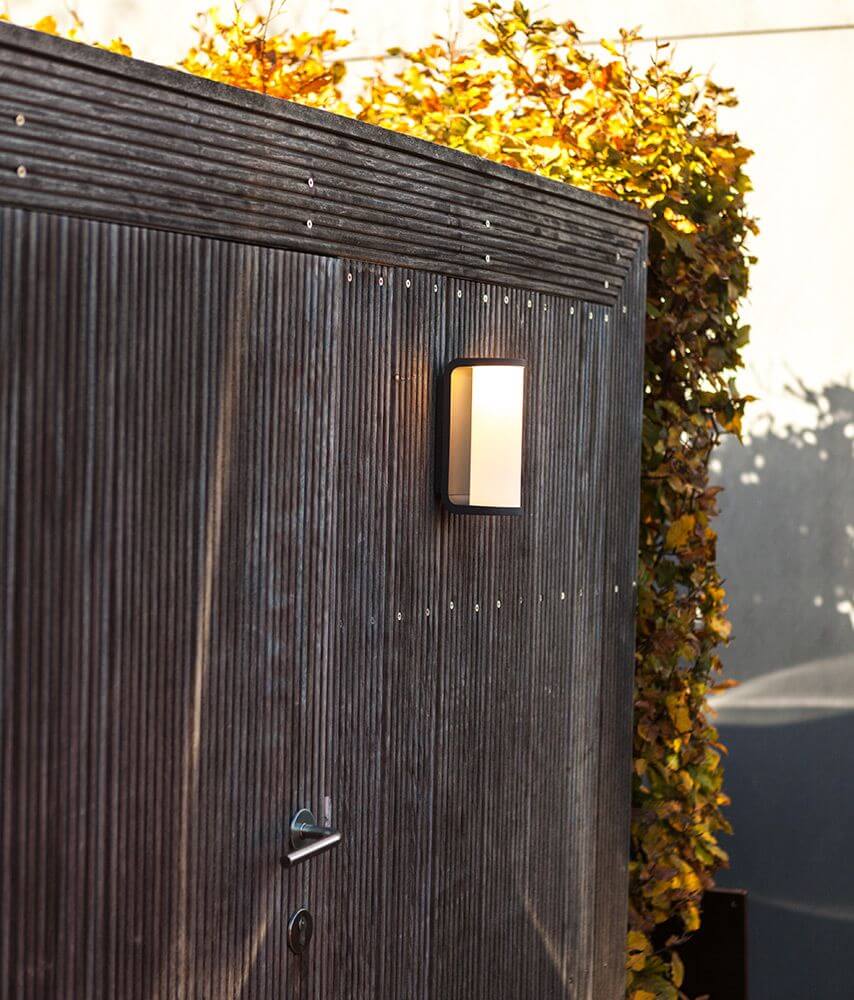 LED Außenwandleuchte Adalyn IP44 Anthrazit an einer Wand mit herbstlichem Laub im Hintergrund.