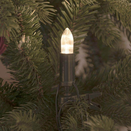 LED Baumkette Topbirnen grün One String 16 warmweiße Dioden mit warmweißer Lichtquelle an Tannenzweigen befestigt.