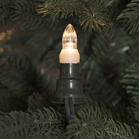 LED Baumkette Topbirnen grün One String 16 warmweiße Dioden IP44 an Tannenzweigen befestigt