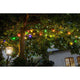 LED Biergartenkette 10er bunt 80 Warmweiße Dioden 24V an Baum mit bunten Lichtern bei Nacht.