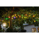 LED Biergartenkette 20er bunt 160 Warmweiße Dioden 24V an einem Baum bei Nacht.