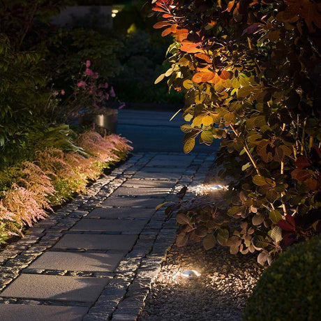 LED Spot à encastrer dans le sol avec sortie de lumière vers l’avant et vers le haut éclaire le chemin et le feuillage.