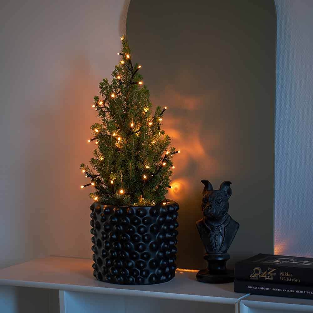 LED Büschellichterkette Cluster Schwarz dekoriert einen kleinen Weihnachtsbaum in einem schwarzen Topf.