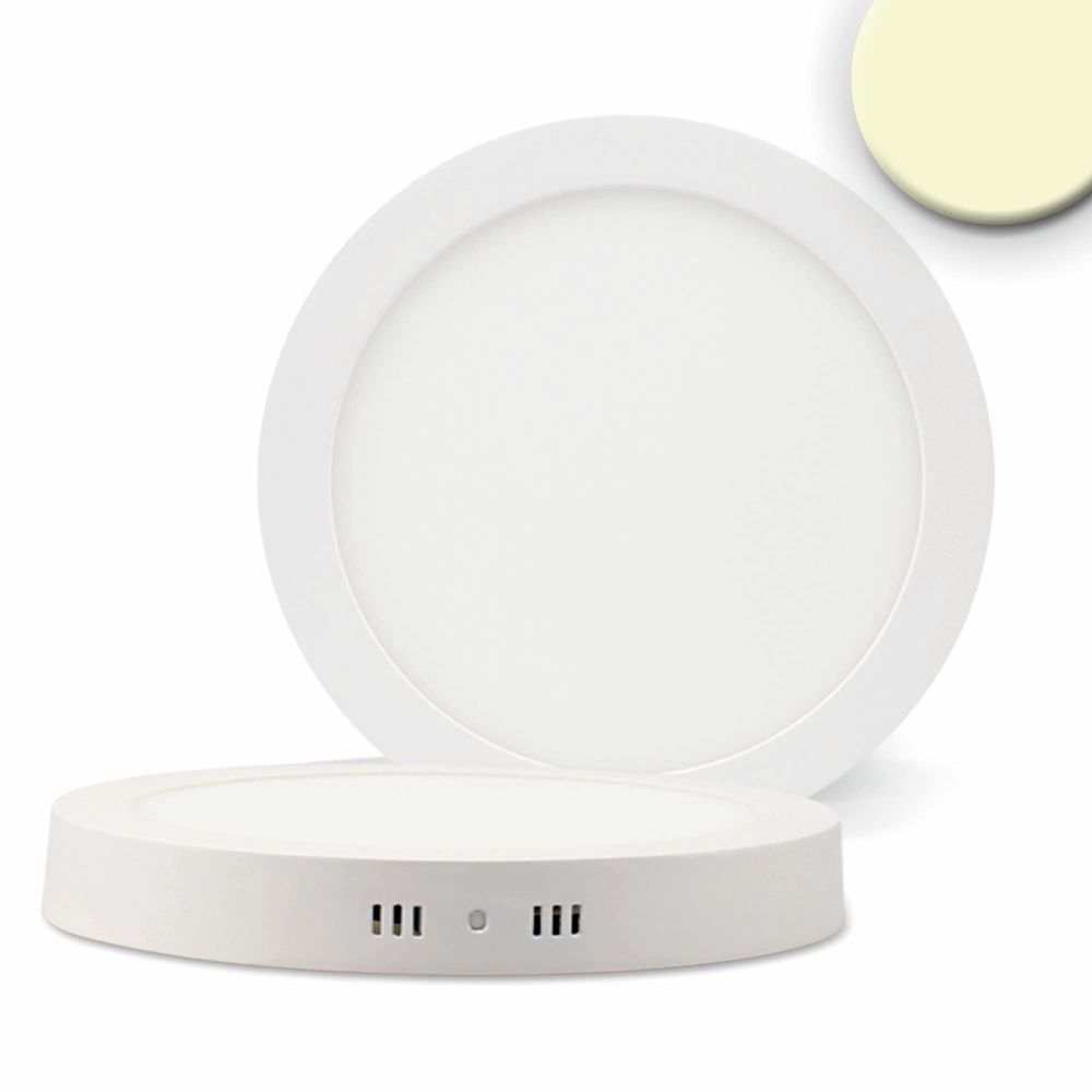 Lampe à plafond LED Blanc 24W environ 30 cm blanc chaud blanc mousque