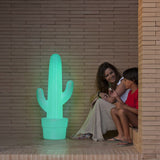 DECOLUM LED di cactus a LED con batteria e telecomando