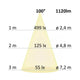 Diagramm der Lichtverteilung für LED Einbaustrahler mit 1120lm und 100° Abstrahlwinkel.