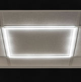 LED Einlegerahmen für Odenwalddecken, ideal für moderne Bürobeleuchtung, energiesparend und stilvoll.