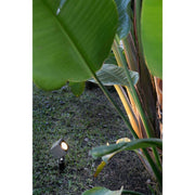 LED Gartenstrahler SOBEK 3000K IP65 Schwarz beleuchtet tropische Pflanzen im Garten