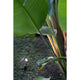 LED Gartenstrahler SOBEK 3000K IP65 Schwarz