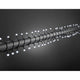 LED Globelichterkette runde Dioden 160 Kaltweiße Dioden IP44 auf dunklem Hintergrund, dekorative Micro-LED-Lichter.