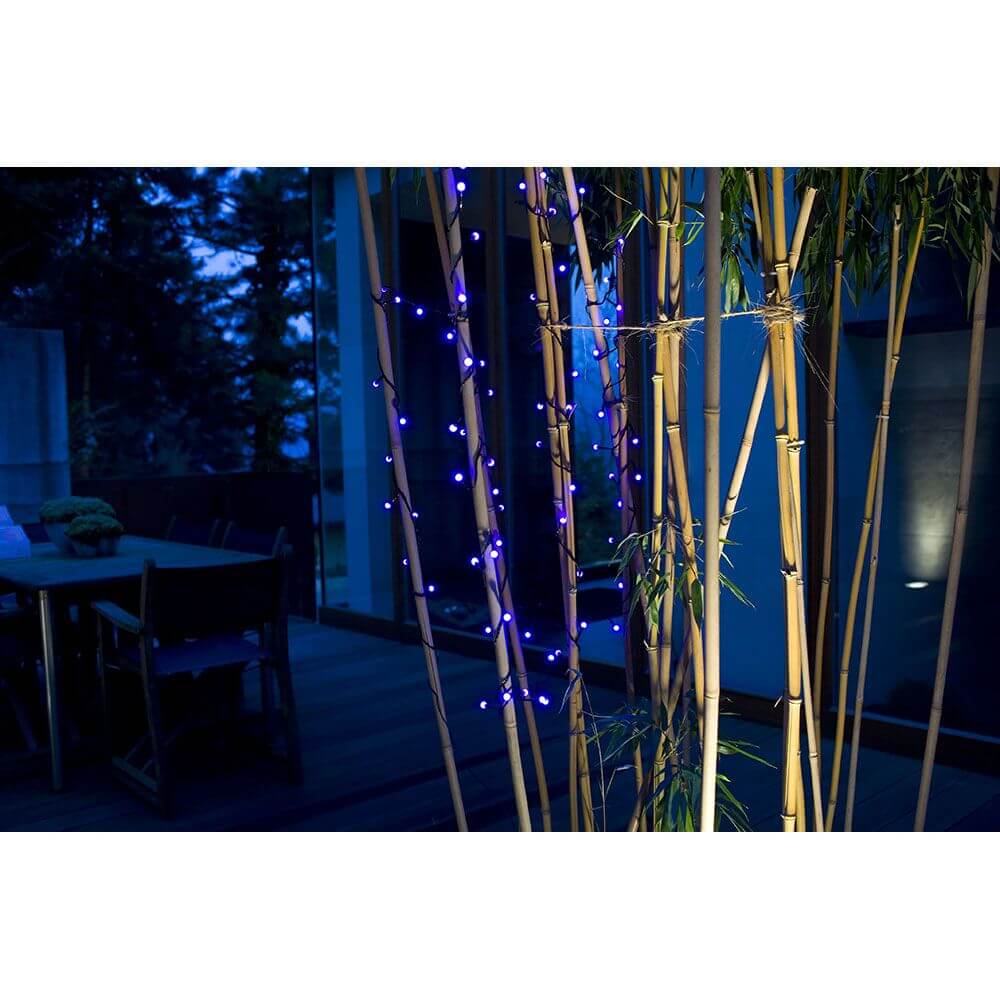 LED Globelichterkette runde Dioden 80 blaue Dioden IP44 dekoriert Bambus im Garten bei Nacht.
