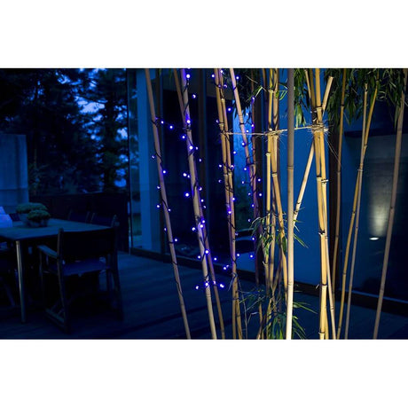 LED Globe string lights round diodes 80 blue diodes IP44 decorated bamboo in the garden at night.