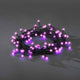 LED Globelichterkette runde Dioden 80 purpurfarbene Dioden IP44 auf schwarzem Untergrund.