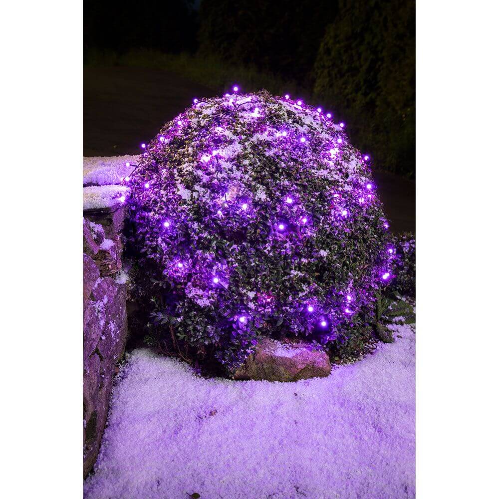 LED Globelichterkette runde Dioden 80 purpurfarbene Dioden IP44 auf dekoriertem Busch im Schnee bei Nacht.