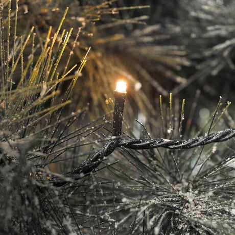 LED Lichterketten mit Multifunktion App-gesteuert bernsteinfarbene Dioden IP44 auf einem Weihnachtsbaum. Licht leuchtet.