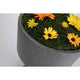 LED Pflanzkübel Concrea Schwarzer Sandstein IP65 mit bunten Blumen und grünem Gras.