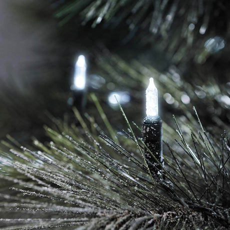 LED Mini light chain 120 cool white diodes IP44 on fir branches, festive atmosphere outdoors.